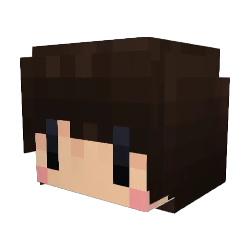 NosTak_ Minecraft avatar head, 3D render