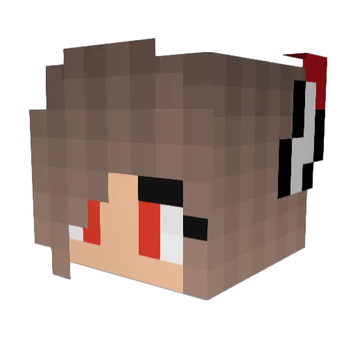 NosTr1c Minecraft avatar head, 3D render