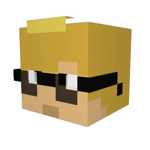 Nosaj10_ Minecraft avatar head, 3D render