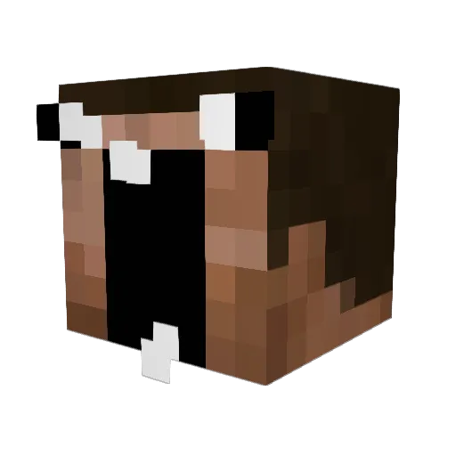 Nosajness Minecraft avatar head, 3D render
