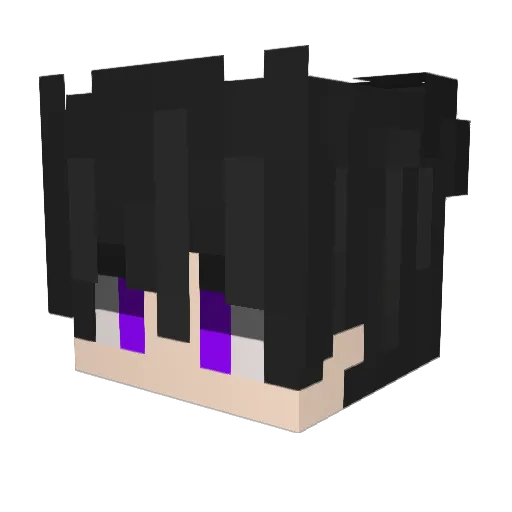 Noschwan Minecraft avatar head, 3D render