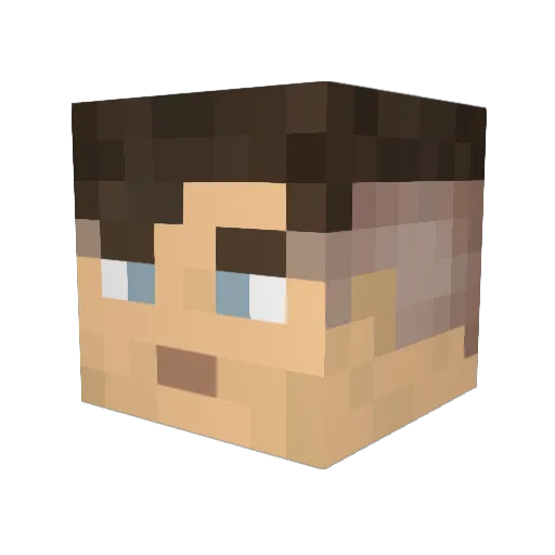 Noscopechicken Minecraft avatar head, 3D render