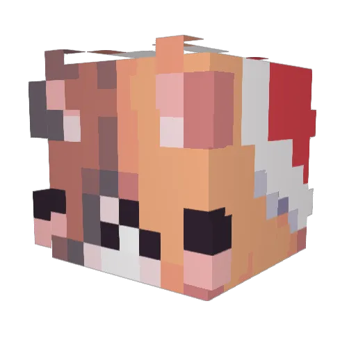 Nosee07 Minecraft avatar head, 3D render