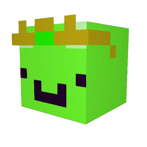 Nosignale Minecraft avatar head, 3D render