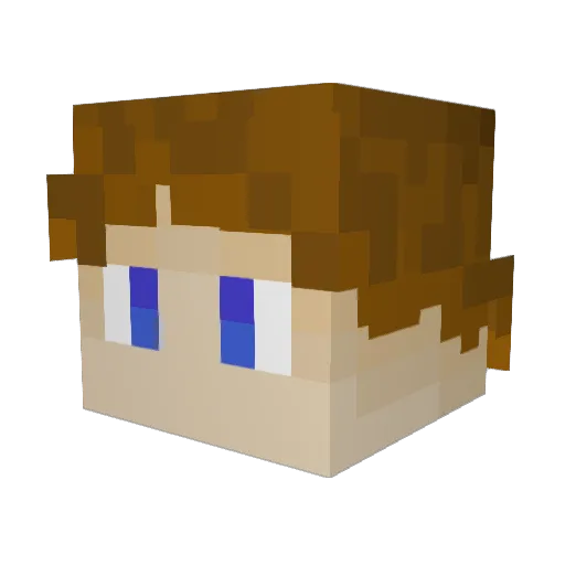 Nosilarain Minecraft avatar head, 3D render