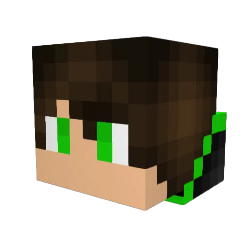 Noskcaj Minecraft avatar head, 3D render