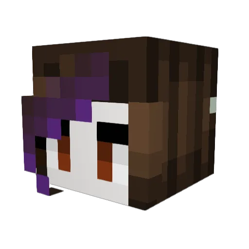 Nosknerd Minecraft avatar head, 3D render