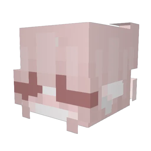 NostalgicMs Minecraft avatar head, 3D render