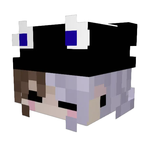 Noster0 Minecraft avatar head, 3D render