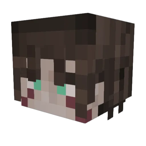 Nostha01 Minecraft avatar head, 3D render
