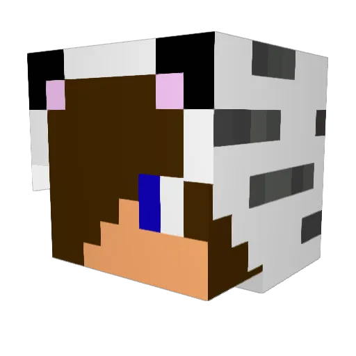 Noswear2 Minecraft avatar head, 3D render