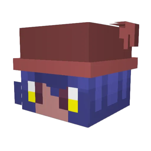NosyTrout0 Minecraft avatar head, 3D render