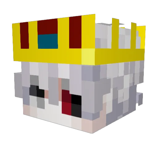 Not0_Me Minecraft avatar head, 3D render