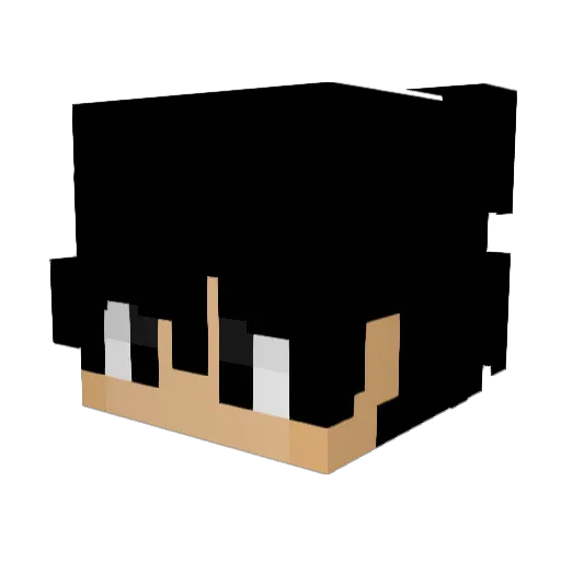 Not14 Minecraft avatar head, 3D render