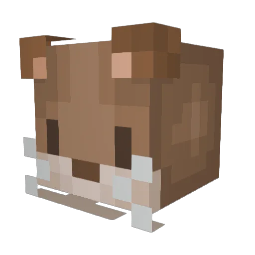 Not1Reven Minecraft avatar head, 3D render