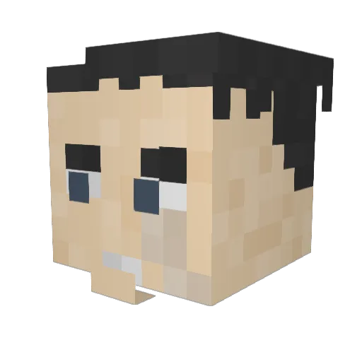 Not3 Minecraft avatar head, 3D render