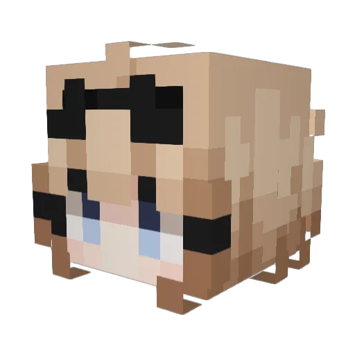 NotACode Minecraft avatar head, 3D render