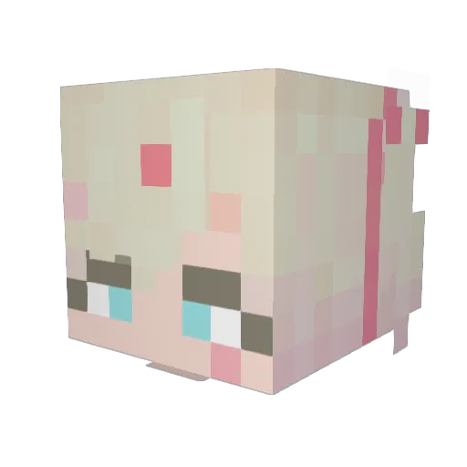 NotAHacker_076 Minecraft avatar head, 3D render