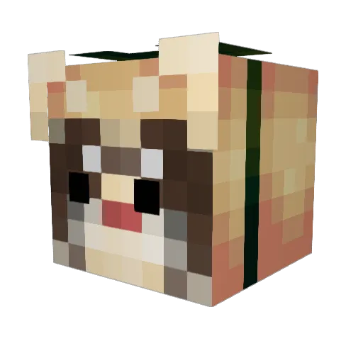 NotAKidoS Minecraft avatar head, 3D render