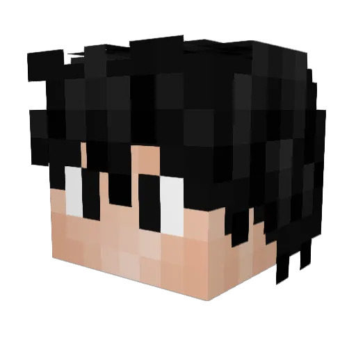 NotALumberjack Minecraft avatar head, 3D render