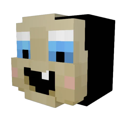 NotAMaleOrFemale Minecraft avatar head, 3D render