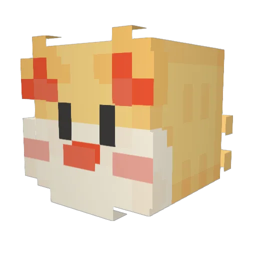 NotAPokefoxxo Minecraft avatar head, 3D render