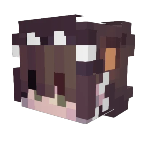 NotARealPuppy Minecraft avatar head, 3D render