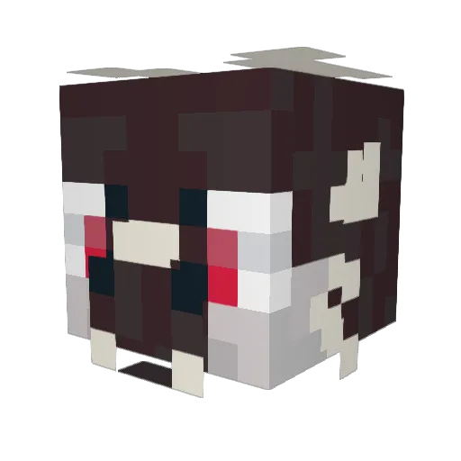 NotARussian5py Minecraft avatar head, 3D render