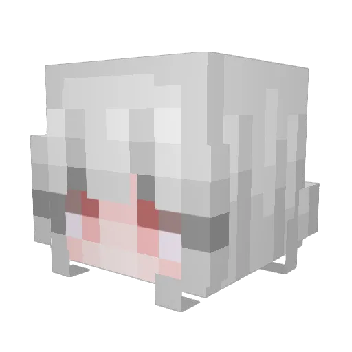 NotASnipingAlt Minecraft avatar head, 3D render