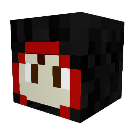 NotASpy1234 Minecraft avatar head, 3D render