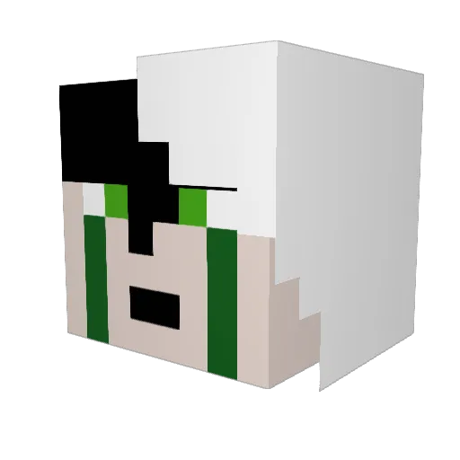 NotATurtleHead Minecraft avatar head, 3D render