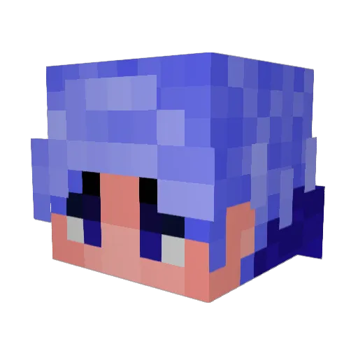 NotA_Essential_Z Minecraft avatar head, 3D render