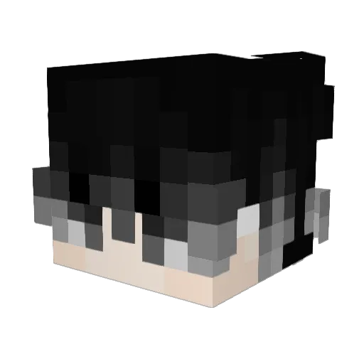 NotAdd Minecraft avatar head, 3D render