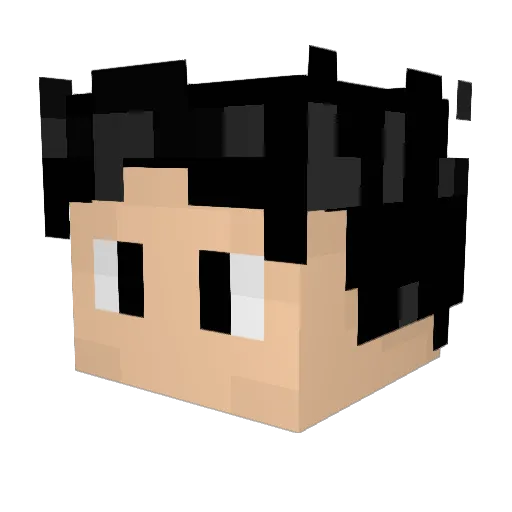 NotAlexAgain Minecraft avatar head, 3D render