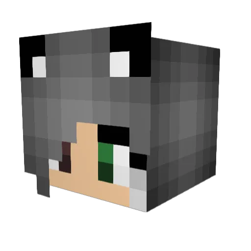 NotAlexis Minecraft avatar head, 3D render