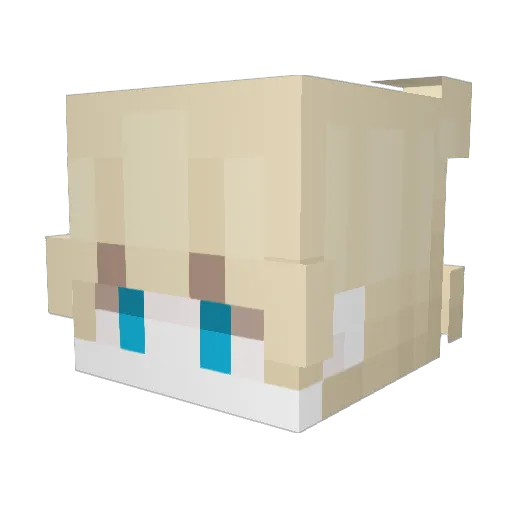 NotAlexzander Minecraft avatar head, 3D render