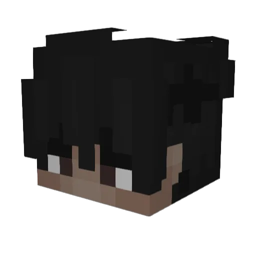 NotAli_ Minecraft avatar head, 3D render