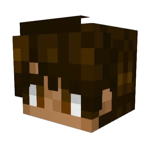NotAllenP Minecraft avatar head, 3D render