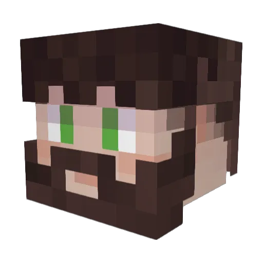 NotAlpine1 Minecraft avatar head, 3D render