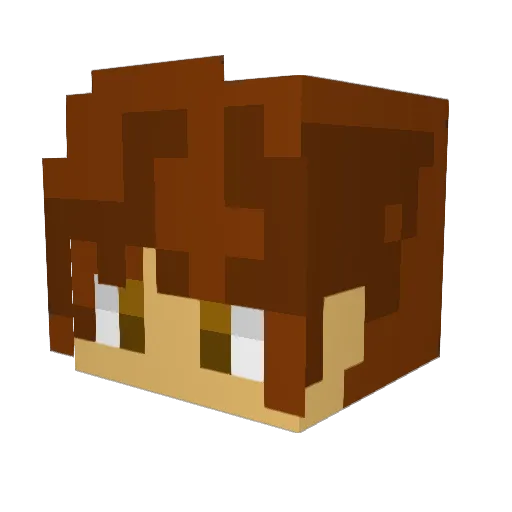 NotAmd Minecraft avatar head, 3D render