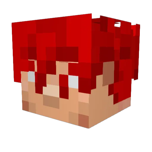 NotAnArmadillo Minecraft avatar head, 3D render