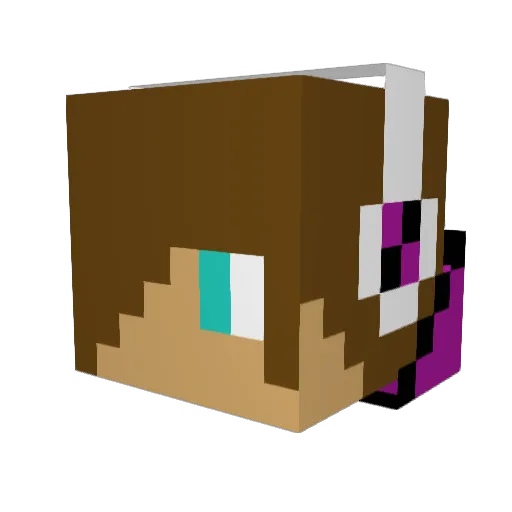 NotApophys Minecraft avatar head, 3D render