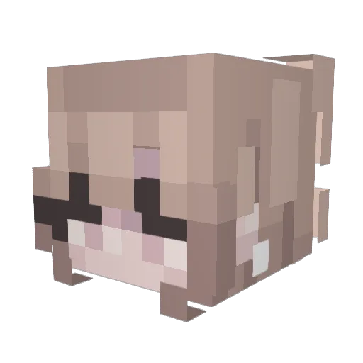 NotAstraa Minecraft avatar head, 3D render