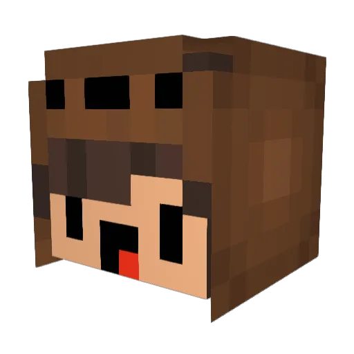 NotAvailable_ Minecraft avatar head, 3D render