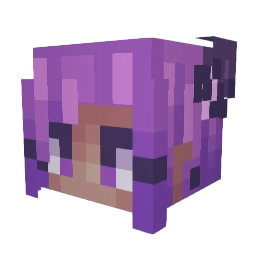 NotAxii Minecraft avatar head, 3D render