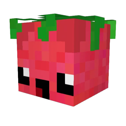 NotBadCat Minecraft avatar head, 3D render