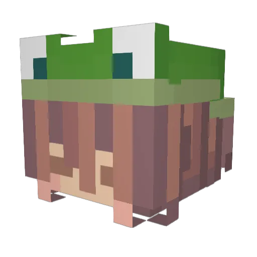 NotBanana8 Minecraft avatar head, 3D render