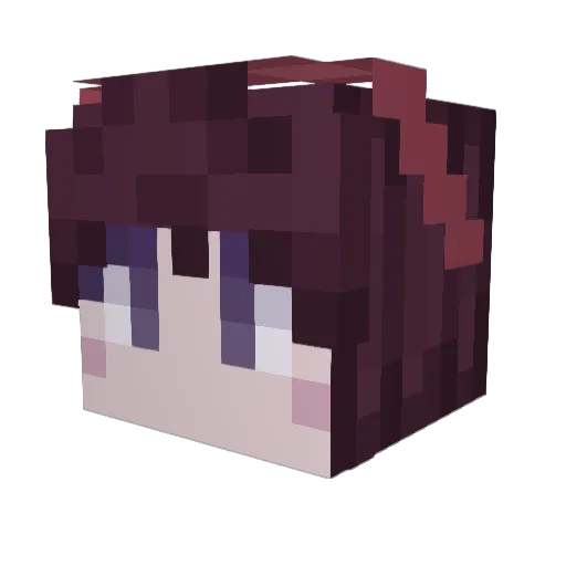 NotBeez Minecraft avatar head, 3D render