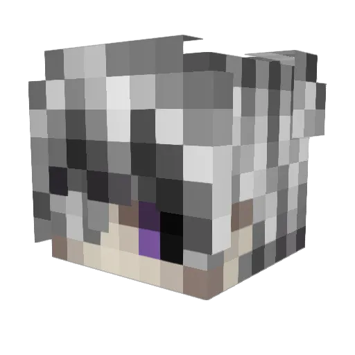 NotBestCat Minecraft avatar head, 3D render