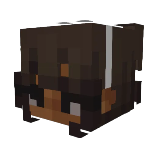 NotBree337 Minecraft avatar head, 3D render